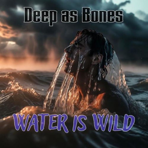 New Music