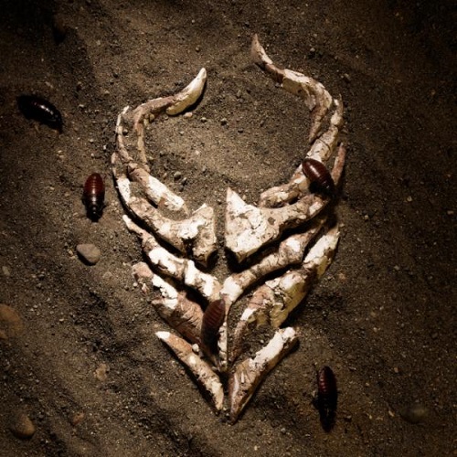 Demon Hunter - Im Done [Single]