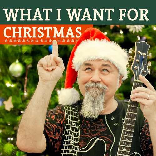 What I Want For Christmas
